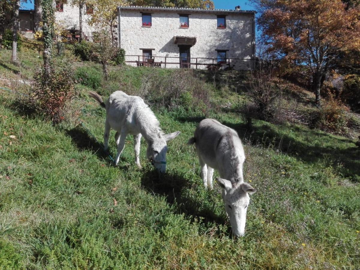 I Casali Del Buontempo Villa Buggiano ภายนอก รูปภาพ
